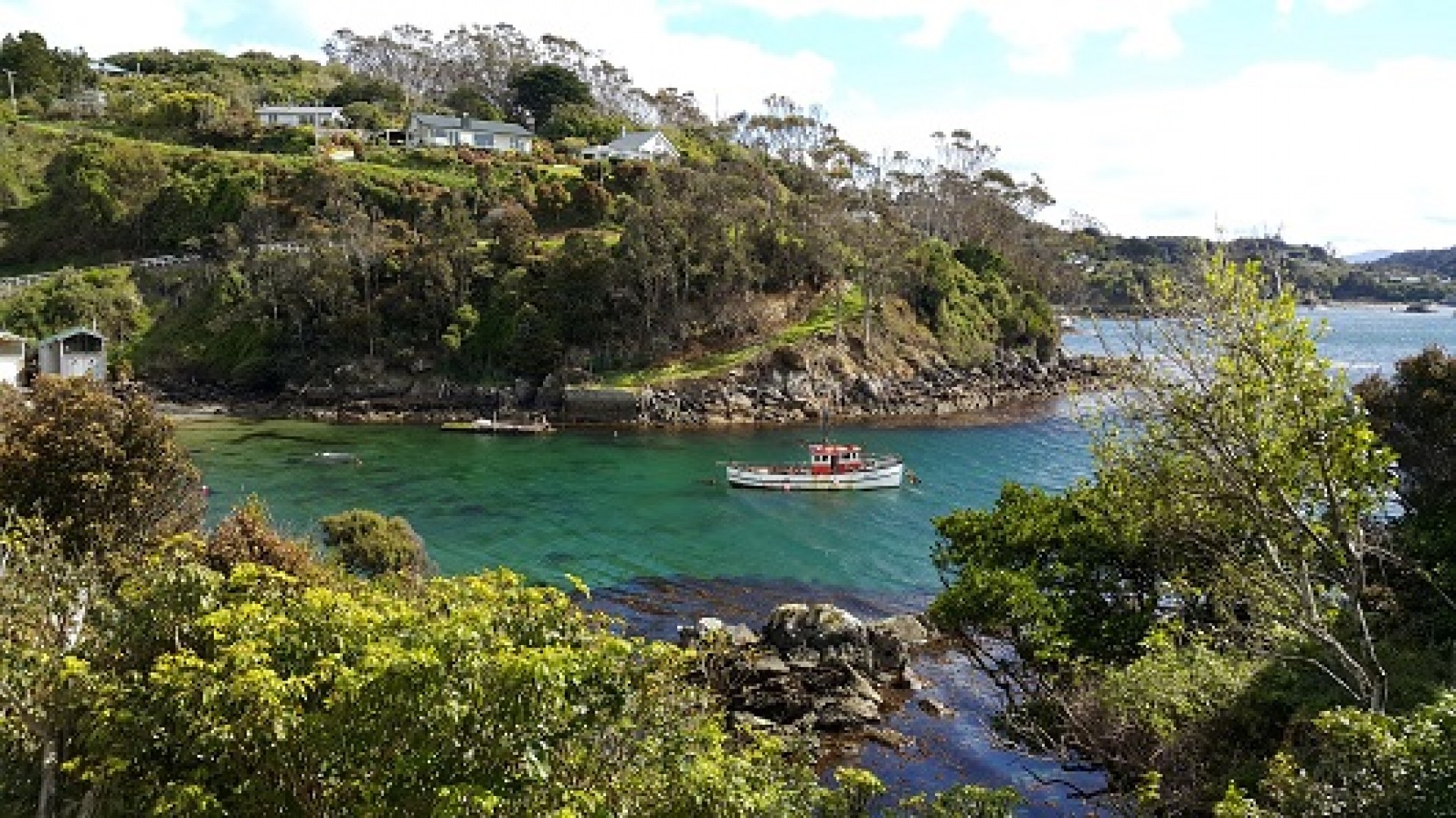 South of the South, Stunning Stewart Island