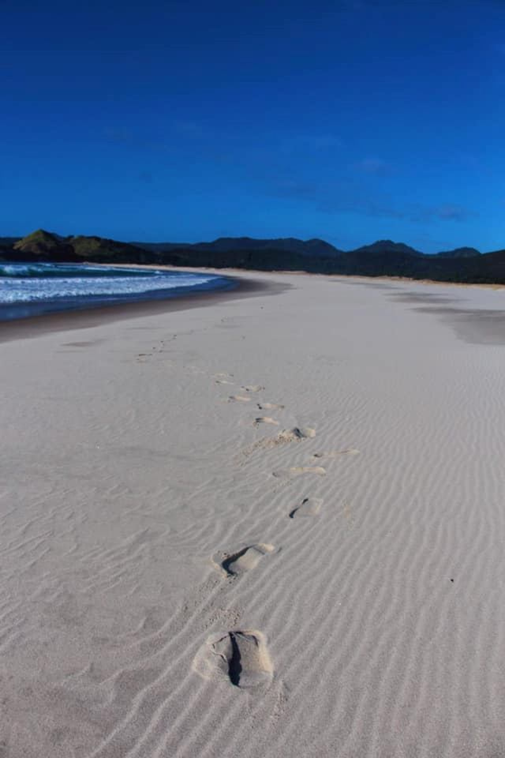 Great Barrier Island Stay and Play – Tauranga to Great Barrier Direct